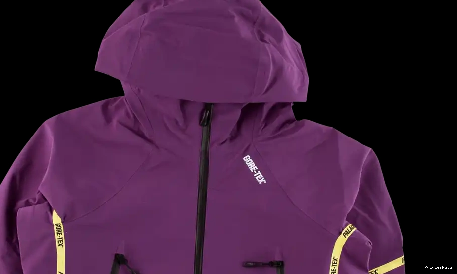 Cheap Palace Gore-Tex Jacket Palex 0525
